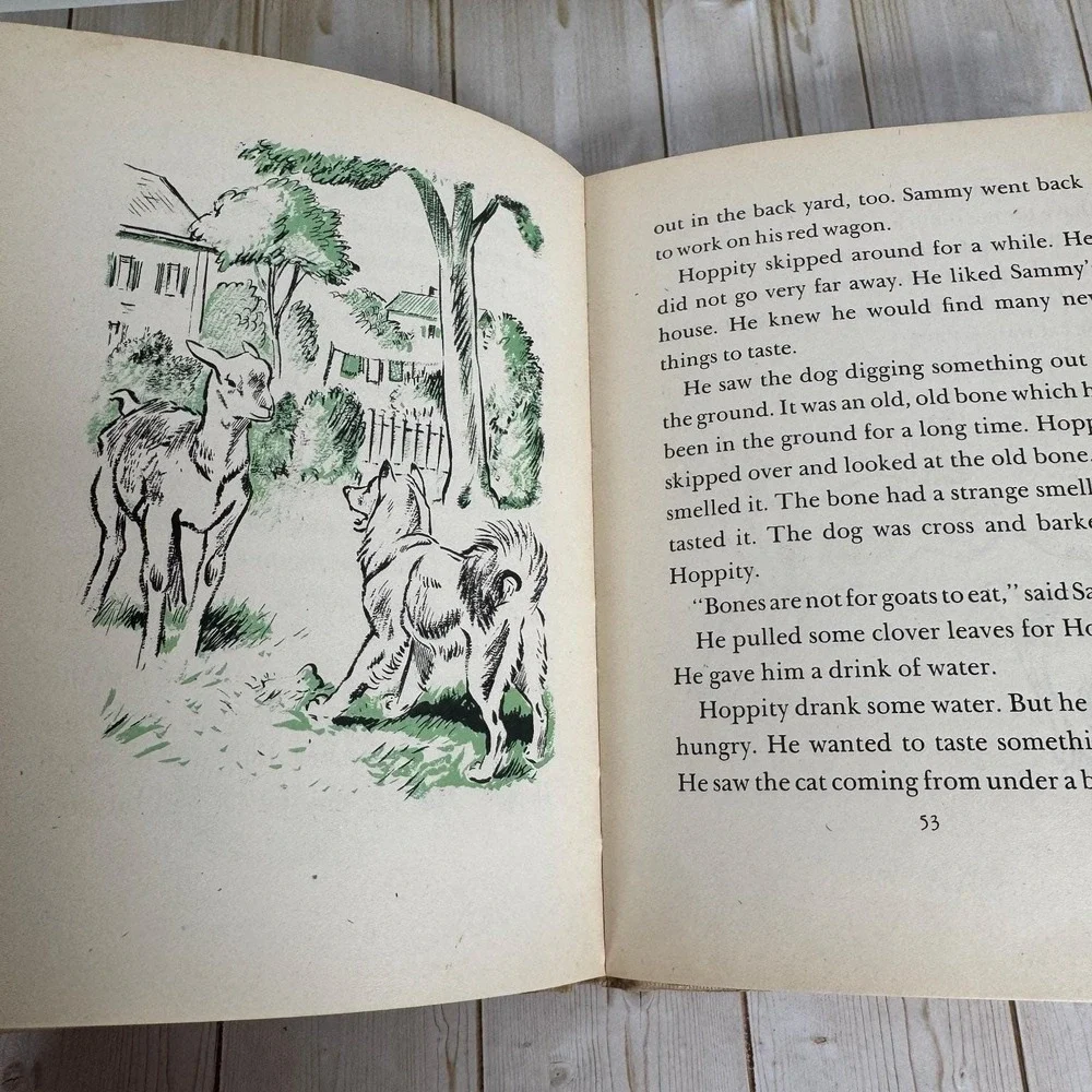 Hoppity Miriam E. Mason 1947 First Printing Illustrated Macmillan Children's